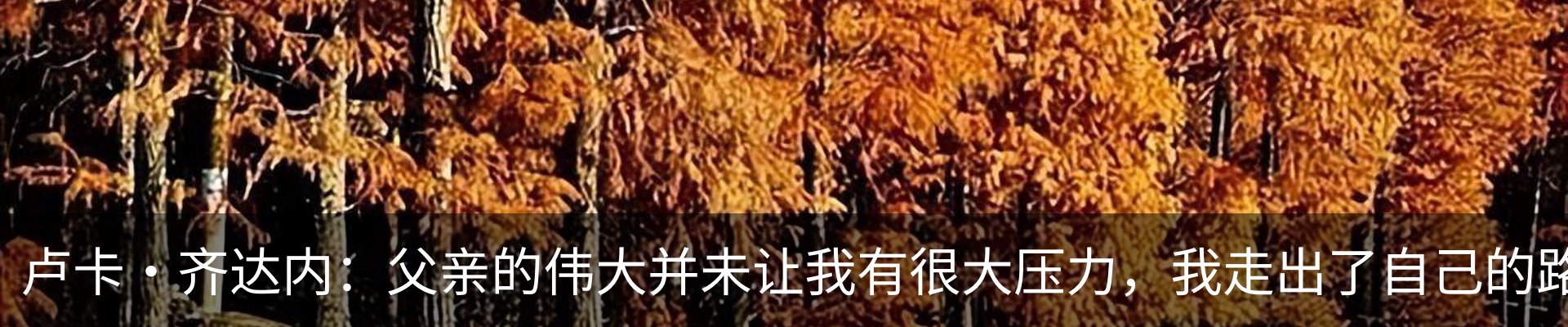 资讯动态