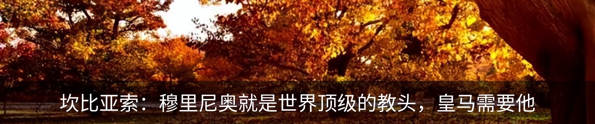 资讯动态