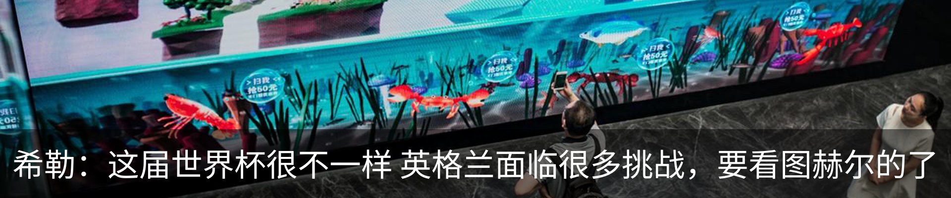 资讯动态