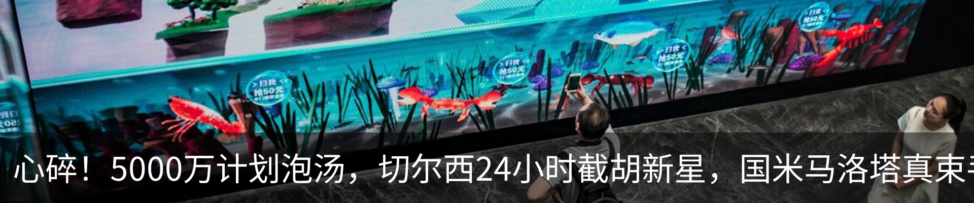 资讯动态