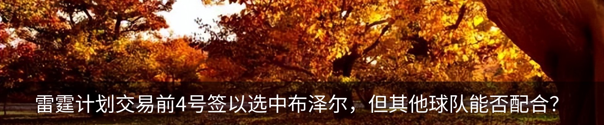 资讯动态