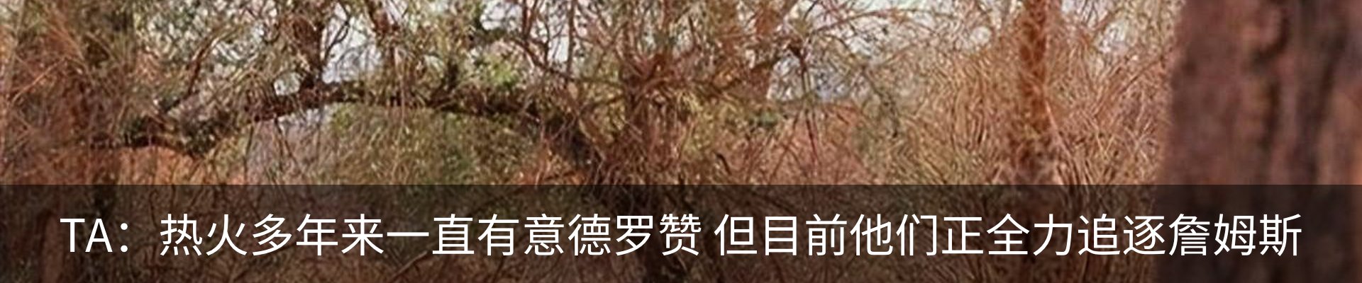 资讯动态