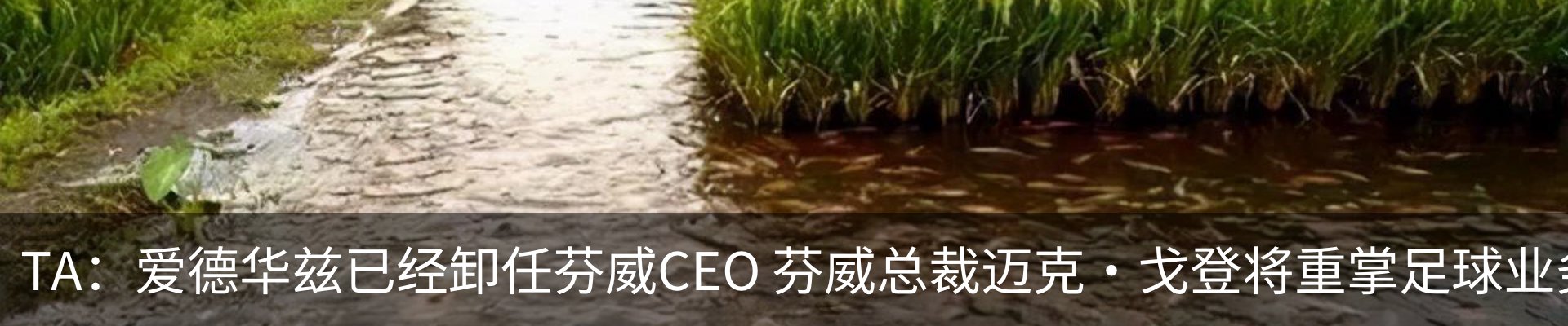 资讯动态